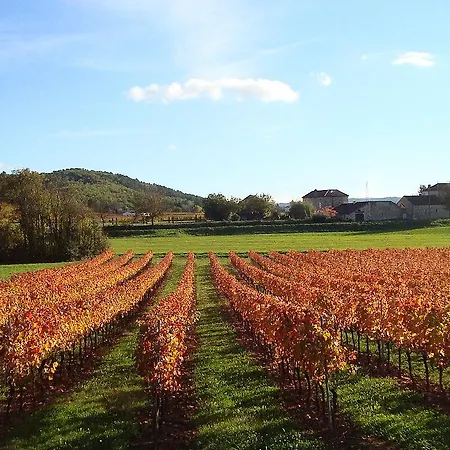 Terres De France - Domaine De Claire Rive 假日公园 3*