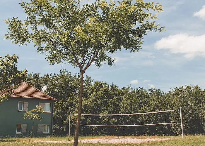 Terres De France - Domaine De Claire Rive