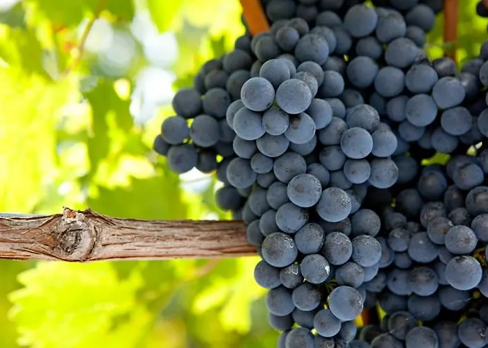 Terres De France - Domaine De Claire Rive Parco vacanze Prayssac