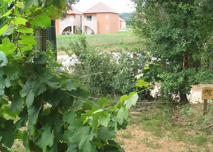 Terres De France - Domaine De Claire Rive 3* Prayssac