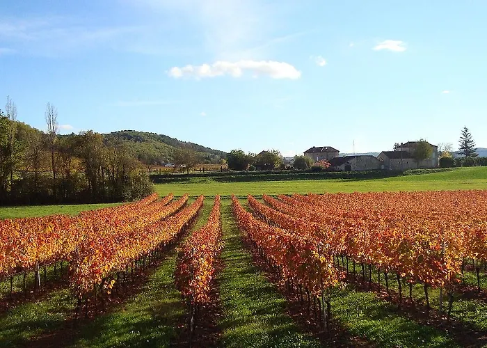 Terres De France - Domaine De Claire Rive Ferienpark 3*